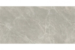 Керамогранит Avroria AS22-22 серый камень / Gris 1200x600 полированный
