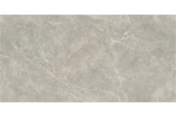 Керамогранит Avroria AS22-22 серый камень / Gris 1200x600 полированный