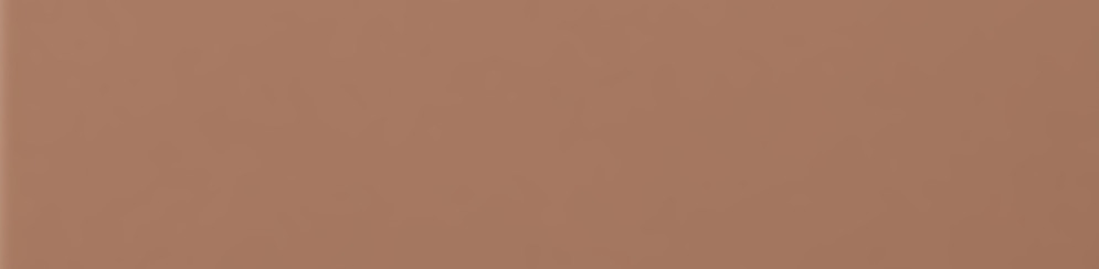 Керамогранит Уральский гранит УФ033 Кирпичный 1200x295x10