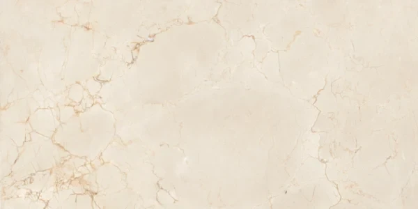 Керамогранит Maimoon Ceramica Итацид Криокс Мосс/Itacid criox moss 120х60 см