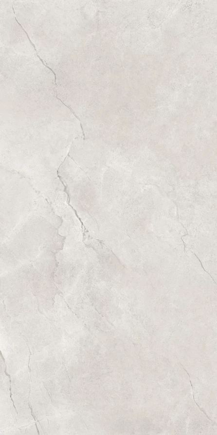 Керамогранит Maimoon Ceramica Глосси Флорити Аш/Glossy Flority ash 120х60 см