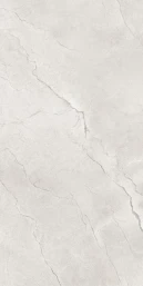 Керамогранит Maimoon Ceramica Глосси Флорити Аш/Glossy Flority ash 120х60 см