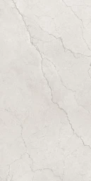 Керамогранит Maimoon Ceramica Глосси Флорити Аш/Glossy Flority ash 120х60 см