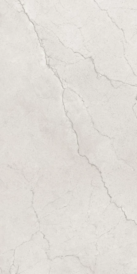 Керамогранит Maimoon Ceramica Глосси Флорити Аш/Glossy Flority ash 120х60 см