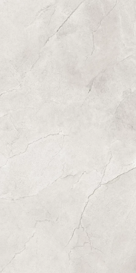 Керамогранит Maimoon Ceramica Глосси Флорити Аш/Glossy Flority ash 120х60 см