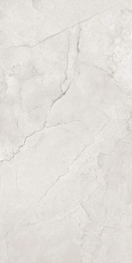 Керамогранит Maimoon Ceramica Глосси Флорити Аш/Glossy Flority ash 120х60 см