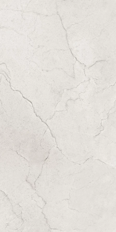 Керамогранит Maimoon Ceramica Глосси Флорити Аш/Glossy Flority ash 120х60 см