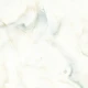 Керамогранит Maimoon Ceramica Глосси Дав Оникс/Glossy Dove Onyx 60x60 см